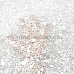White embroidery couture lace - Image 3