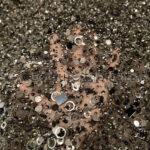 Brown color embroidery couture lace - Image 3