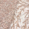 Pastel Pink embroidery couture lace