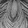 Black color embroidery couture lace - Image 7